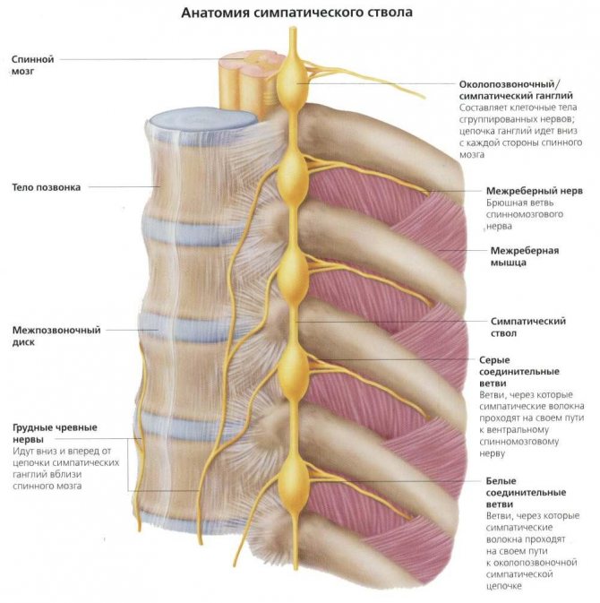 Аэртал при невралгии межреберной