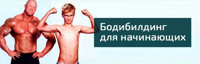 Бодибилдинг для начинающих