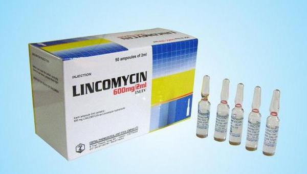 Лечение остеохондроза у собак