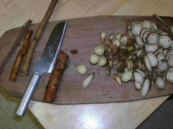 Настойки из лопуха на водке: от чего помогают, каковы лечебные свойства растения