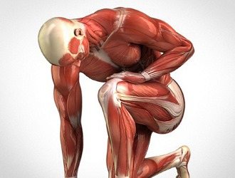 Одна из причин развития сколиоза - мышечная слабость