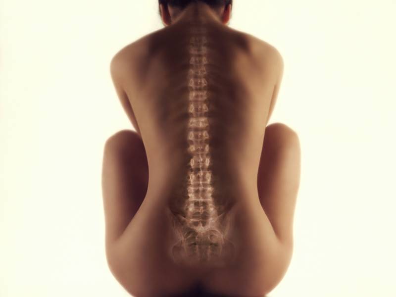 Отделы позвоночника человека за что отвечает каждый позвонок