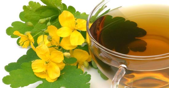 Отвар чистотела