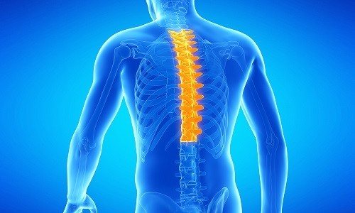 При хондрозе грудного отдела боль генерализуется между лопатками и в области груди