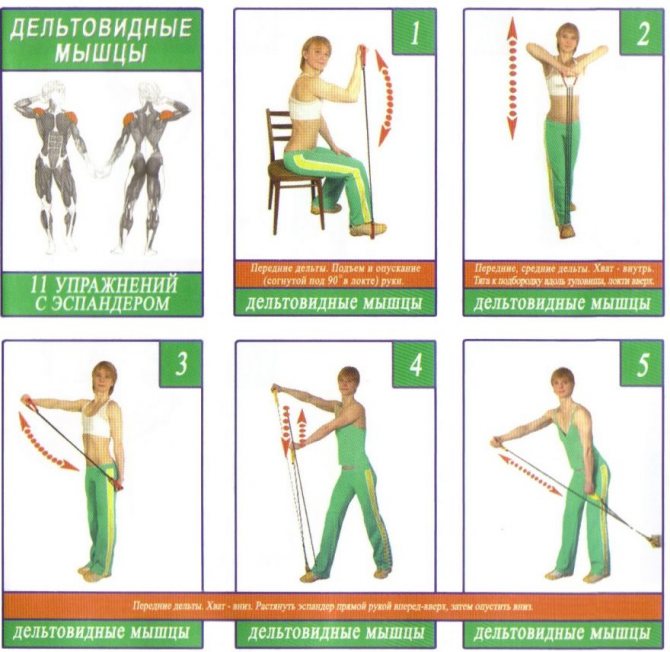 Самые эффективные упражнения для спины с эспандером: комплекс для женщин и мужчин