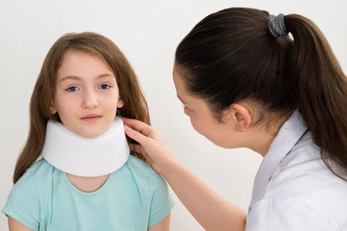 сколько шейных позвонков у человека