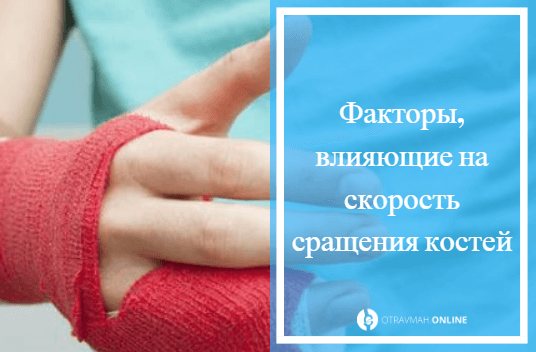 сколько времени срастается перелом руки