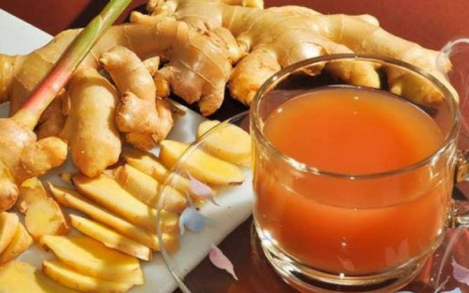 топинамбур лечебные свойства (главный ключ)