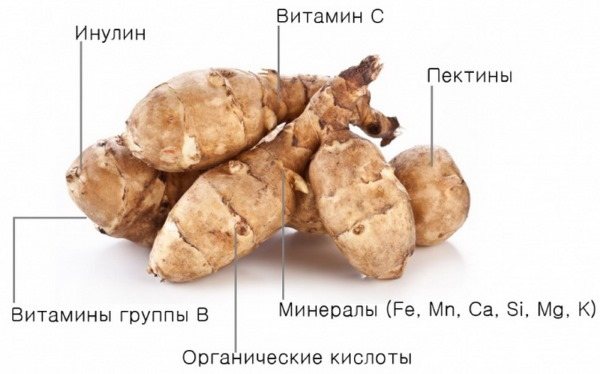 Топинамбур. Полезные свойства, рецепты применения в народной медицине при диабете, дисбактериозе, подагре, онкологии, панкреатите, похудении. Противопоказания