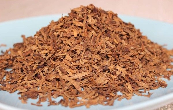 Топинамбур. Полезные свойства, рецепты применения в народной медицине при диабете, дисбактериозе, подагре, онкологии, панкреатите, похудении. Противопоказания