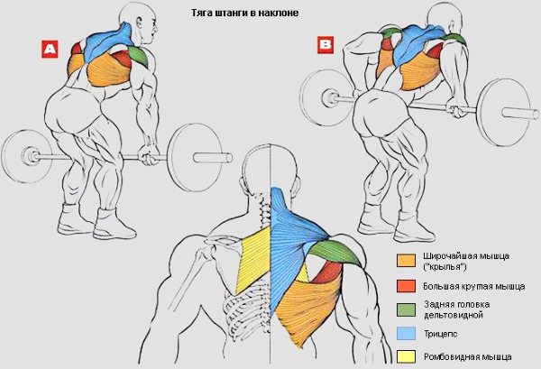 Упражнения после нагрузки на позвоночник