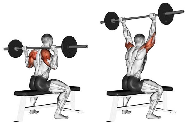 Упражнения со штангой для похудения девушек на трицепс, ноги, спину, все группы мышц в домашних условиях