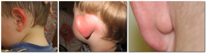 Вид сломанного уха