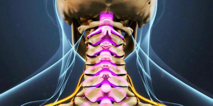 вправление первого шейного позвонка атланта